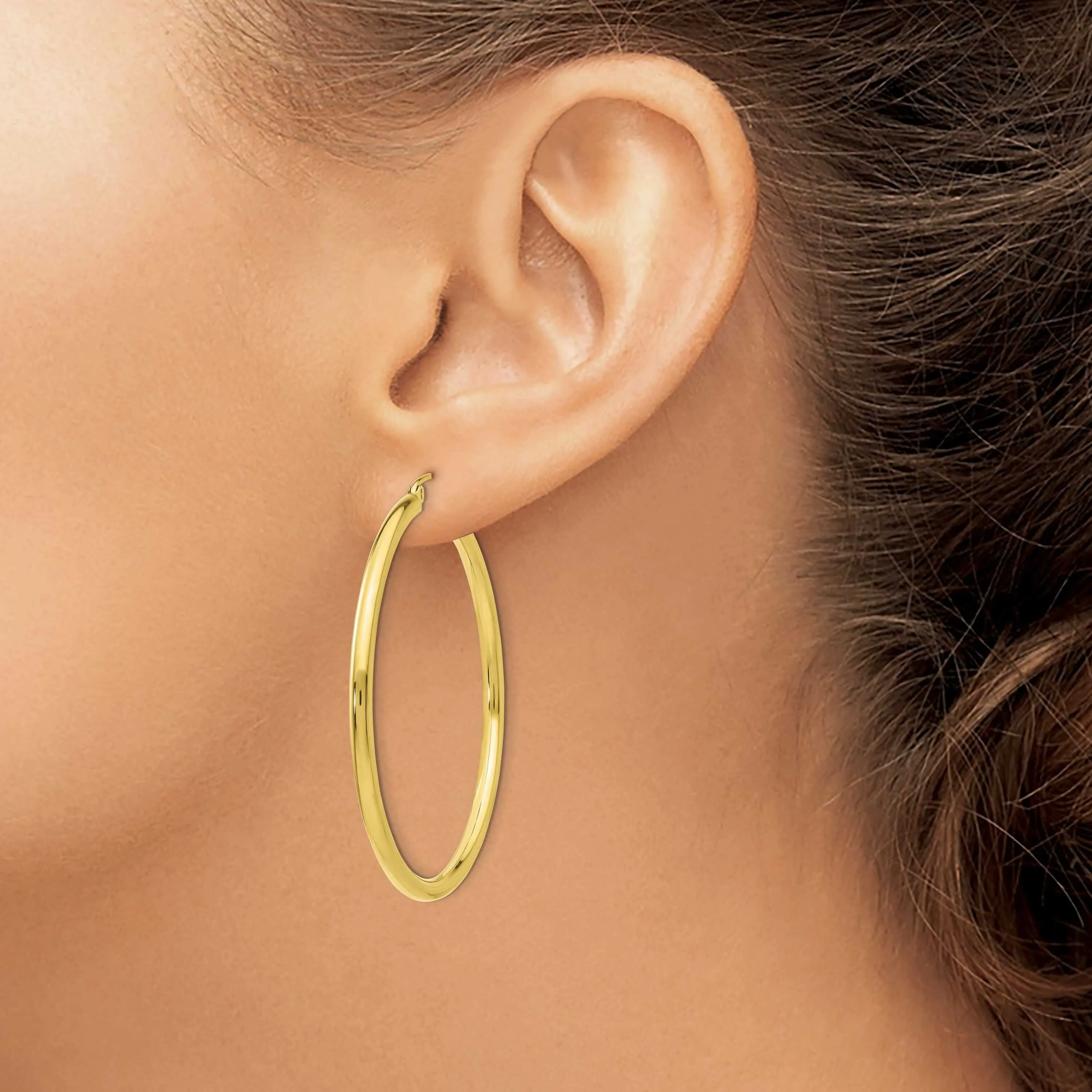 10k Yellow Gold Polished 2.5MM Round Hoop Earrings