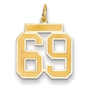 14k Yellow Gold Satin Brush Finish Medium Size Number 69 Charm Pendant