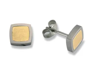 23984-02 TeNo Titanium Earrings