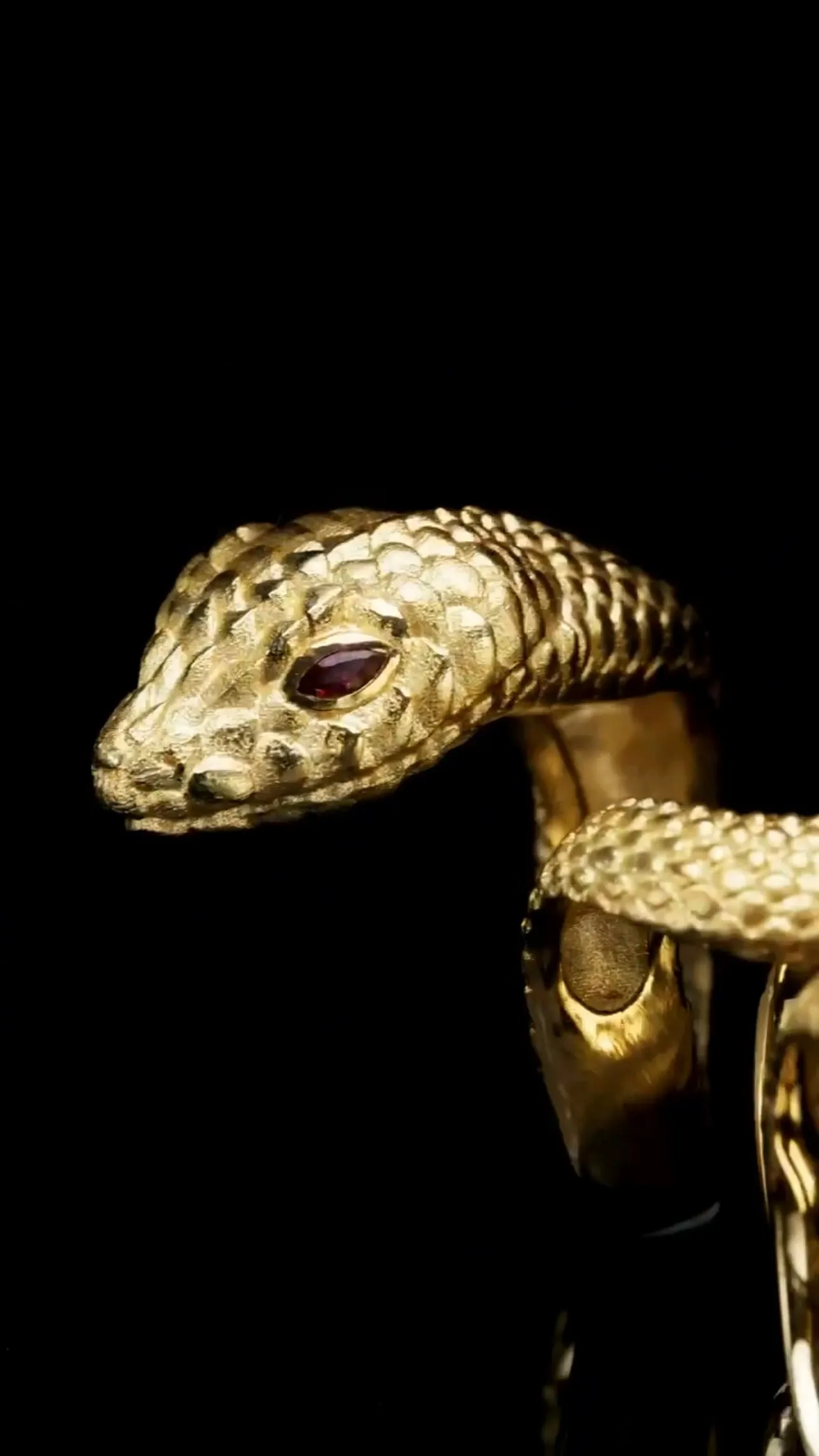 Bespoke | Serpent Ring Twist on 4 Fingers