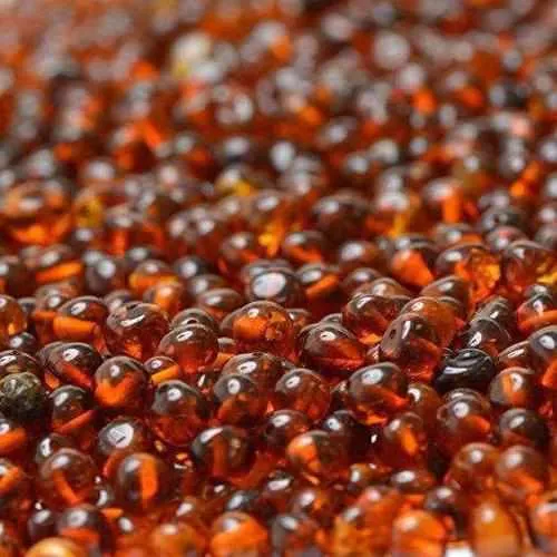 Child Brandy Snap Cognac Baltic Amber Anklet Bracelet
