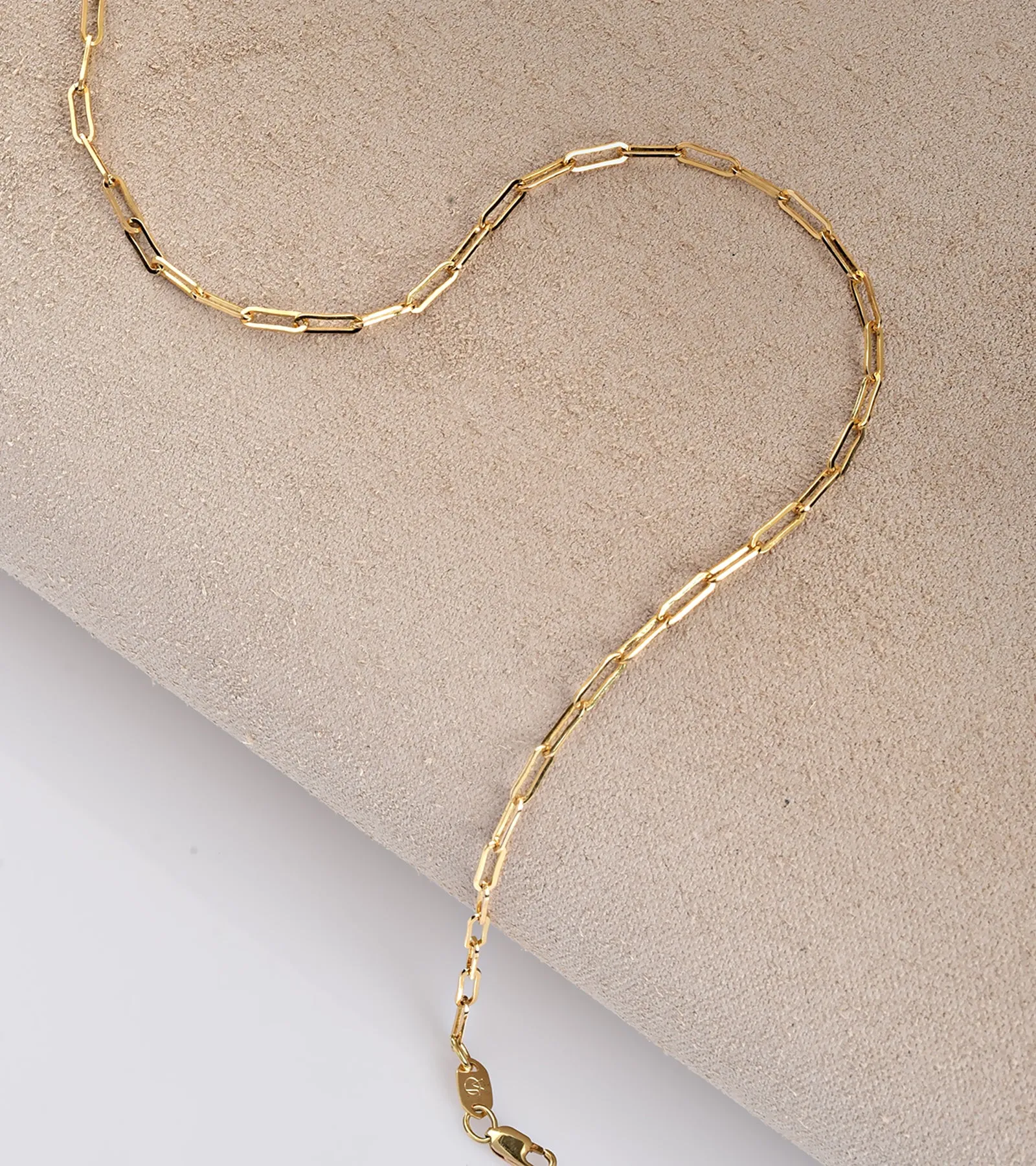 Clip Chain Necklace (2.5mm)