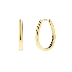 Delicate Gold Drop Hoop Earrings