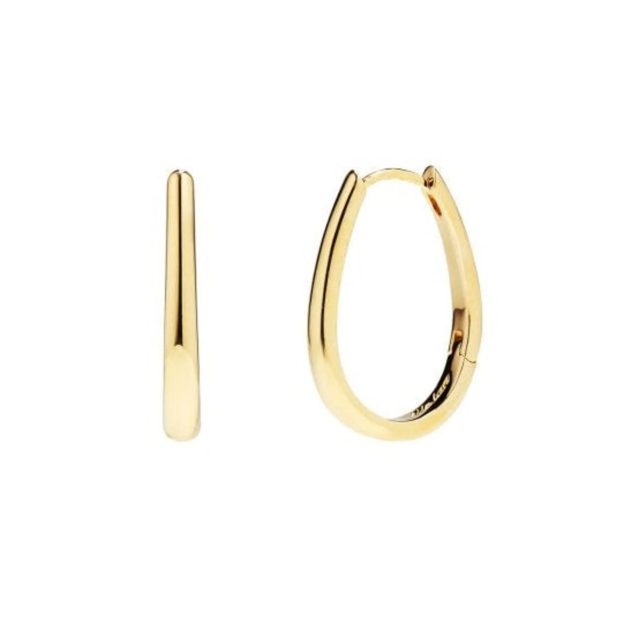 Delicate Gold Drop Hoop Earrings