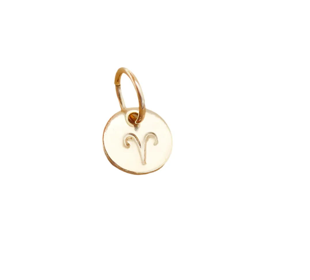 MINI stamped Zodiac disc necklace