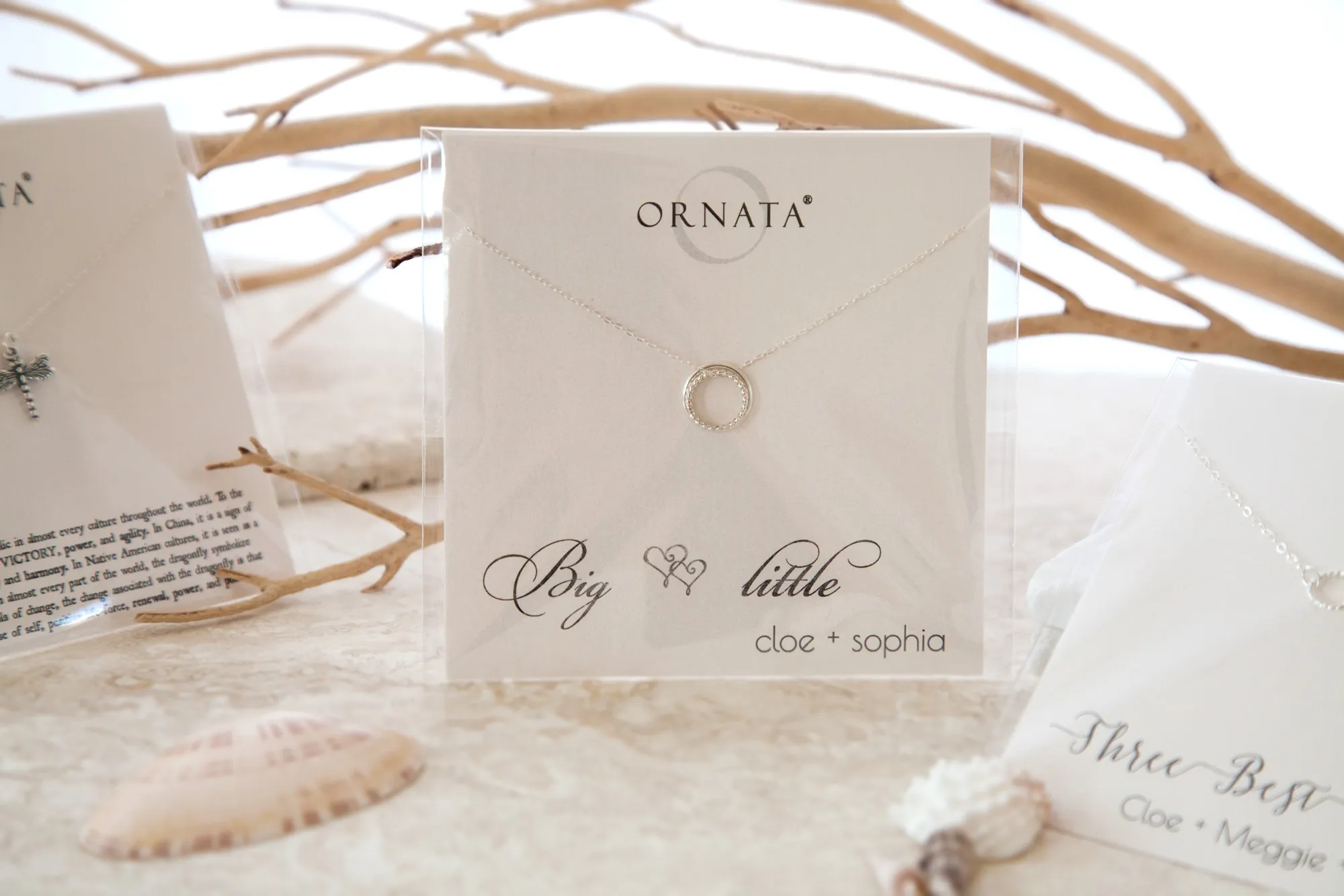 "Psalm 91:4” Sterling Silver Necklace on Personalized Jewelry Card